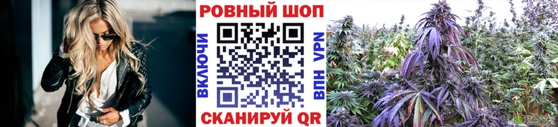 Меф Мичуринск