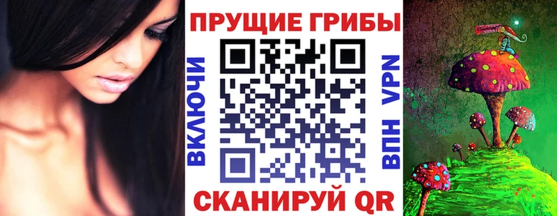 закладки  Мичуринск  Галлюциногенные грибы GOLDEN TEACHER 
